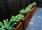 Customized Square Metal Planters Outdoor Corten A Material 50cm Height supplier