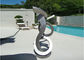 Brushed Craft Stainless Steel Sculpture Art Home Decoration Swimming Pool Garden