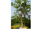 Attractive Contemporary Art Stainless Steel Abstract Sculpture For Garden Decoration supplier