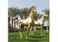 Modern Garden Decoration Metal Bronze Horse Sculpture , Bronze Horse Statue
