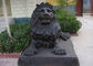 Custom Cast Metal Antique Bronze Sitting Lion Statue for Outdoor supplier