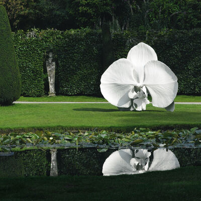 Garden Decoration Stainless Steel Flower Painted Sculpture