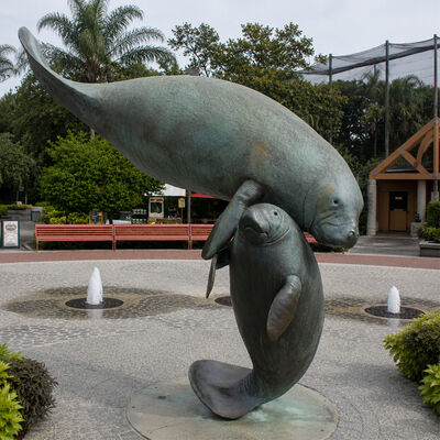 Good price Large Bronze Manatee Mother and Baby Sculpture Marine Animal Coastal Garden Outdoor Art Statue online